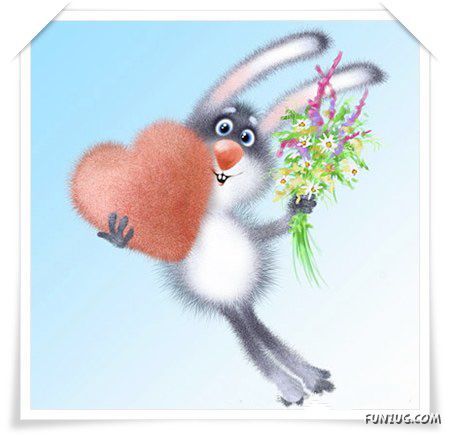 Valentine Day__sMs Collection